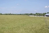Что поможет выжить малому агробизнесу?