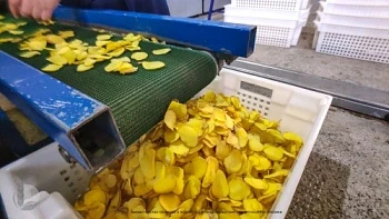 Удмуртские вегенсы будут покорять китайский рынок