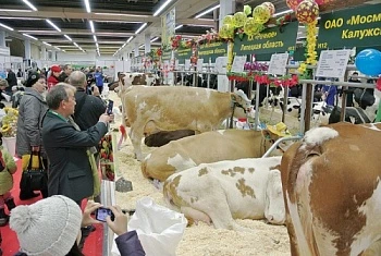 Главный аграрный праздник
