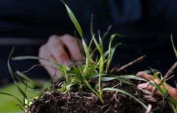 Результаты проекта по снижению эмиссии парниковых газов 