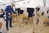 «Штучный» товар или массовый продукт?