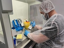 Новый подход к мониторингу здоровья свиней