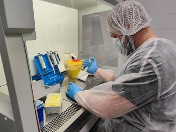 Новый подход к мониторингу здоровья свиней