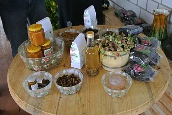Агротуризм как драйвер развития сельских территорий