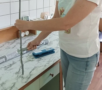 Межлабораторные сличительные испытания по измерениям плодовых 