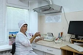 Диагностика кормов