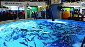 Рыбный вопрос