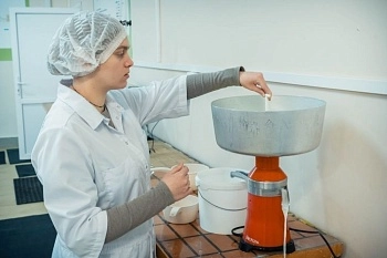 Студентка создает кормовую добавку из молочной сыворотки