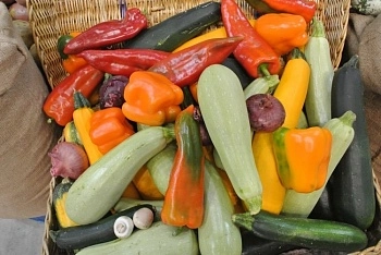 Как хранить какие овощи?