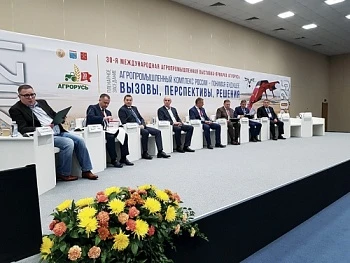 В фокусе – деловая программа