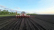 Заложено семеноводство первого устойчивого к киле отечественного гибрида ярового рапса