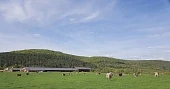 Стратегические цели французского хозяйства