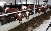 Растет производство, растет потребление