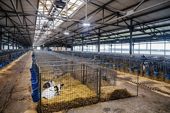 СХП «Мокрое» приступило к программе генотипирования