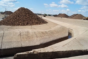 Новые рекорды