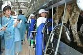 Соревнуются профессионалы