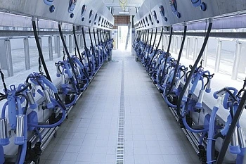 Оставьте сухое доение в прошлом