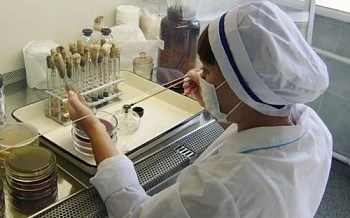 Российские ученые разработали уникальную технологию повышения качества сельскохозяйственной продукции