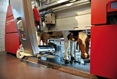 Доильные роботы Lely – успех и стабильность