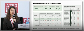 Масличный рекорд: больше объема, но меньше маржи?