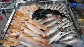 Рыба и морепродукты: сохранность сырья и эффективность переработки с помощью современных ингредиентов