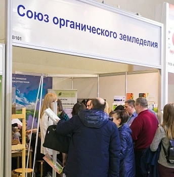Бесплатные консультации на "Золотой осени"