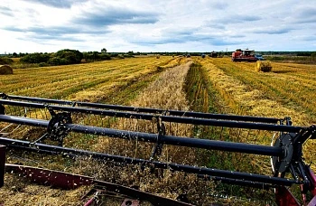 Сертификаторы и производители органической продукции подводят итоги работы