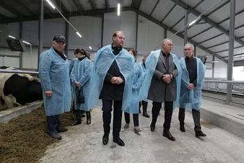 В Ульяновской области активно развивается отрасль животноводства