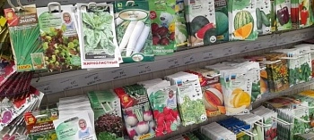 Рекомендации от экспертов по выбору семян