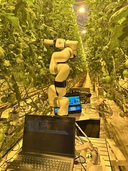 Учёные СтГАУ представили прототип роботизированной системы для определения болезней растений