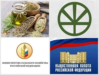 Возможно ли возрождение отрасли промышленного коноплеводства?