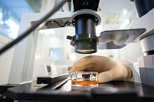 Получен патент на вакцину для ранней защиты против ящура генотипа SAT-1/I