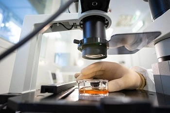 Получен патент на вакцину для ранней защиты против ящура генотипа SAT-1/I