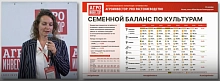 Семеноводство в России: 70% самообеспечения достигнуто, но впереди — технологический потолок