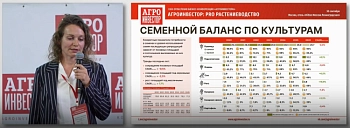 Семеноводство в России: 70% самообеспечения достигнуто, но впереди — технологический потолок