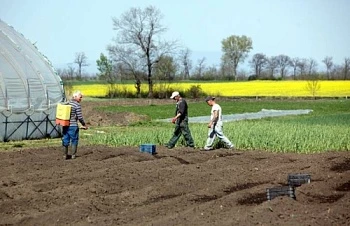 Управление земельными ресурсами стимулирует развитие сельской местности
