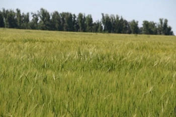 В Пензе пройдет II Агрономический форум для сельхозтоваропроизводителей