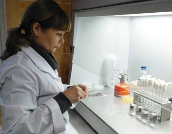 От проверки эффективности ГМО до создания парка сельхозтехники для органического сельского хозяйства