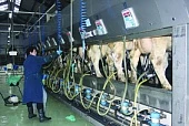 Деньги в «Мельниково» потрачены не зря