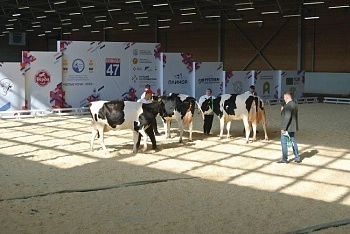 На ринг выходили лучшие