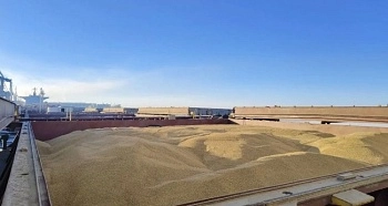 Российский ячмень отгружен в Иран