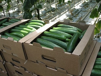 Топ-3 тренда в сфере АПК