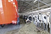 Кормление: рекомендации французских специалистов
