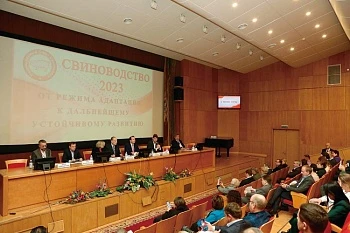 Возможности свиноводства