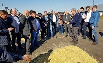 Энергия сибирских кормов