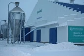 На мега-ферме СХП имени Рахимова доят 16 роботов