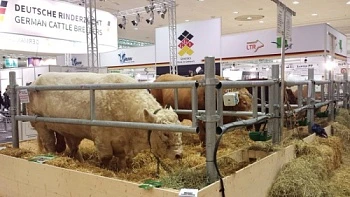Движущая сила EuroTier-2016