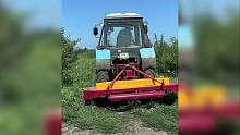 «Григорьевские сады» выходят на новый уровень