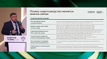 Инвестиции в животноводство: взгляд в ближайшие 10 лет