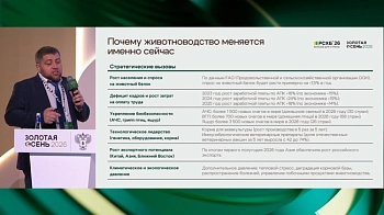 Инвестиции в животноводство: взгляд в ближайшие 10 лет